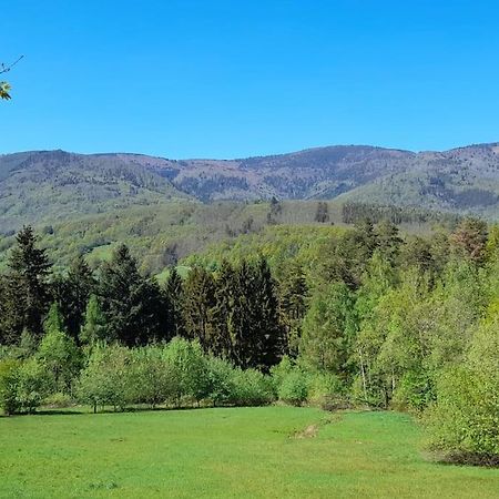 Ville Centre - Gite Le Villois - Au Coeur De L'Alsace Экстерьер фото