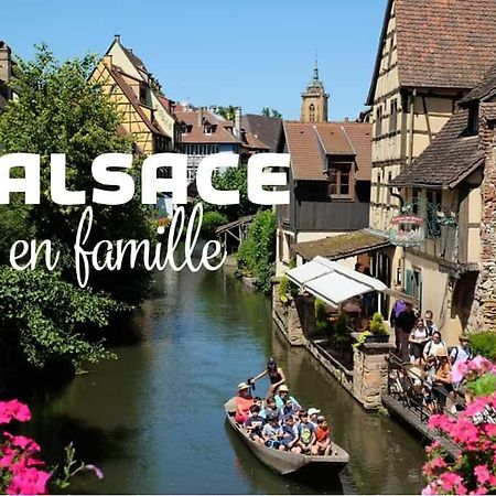 Ville Centre - Gite Le Villois - Au Coeur De L'Alsace Экстерьер фото