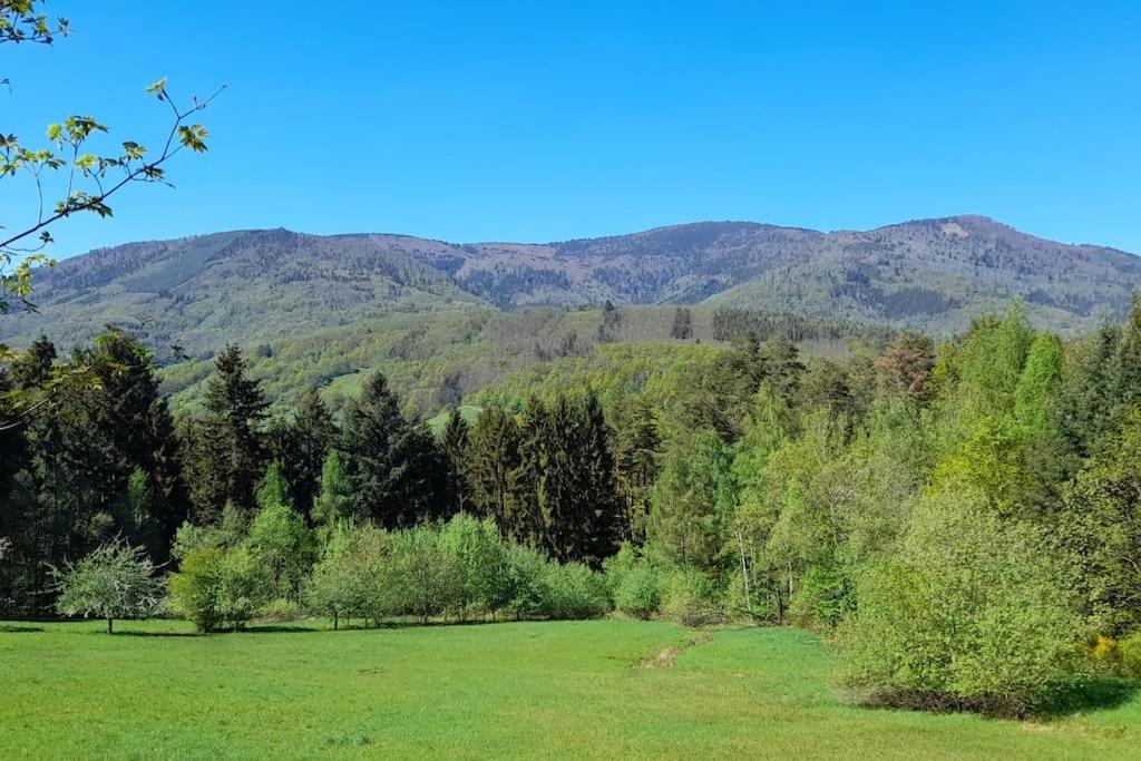 Ville Centre - Gite Le Villois - Au Coeur De L'Alsace Экстерьер фото