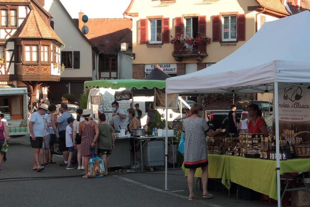 Ville Centre - Gite Le Villois - Au Coeur De L'Alsace Экстерьер фото