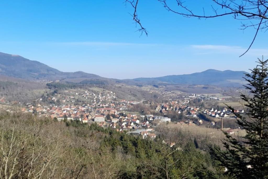 Ville Centre - Gite Le Villois - Au Coeur De L'Alsace Экстерьер фото