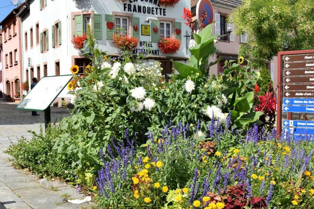 Ville Centre - Gite Le Villois - Au Coeur De L'Alsace Экстерьер фото