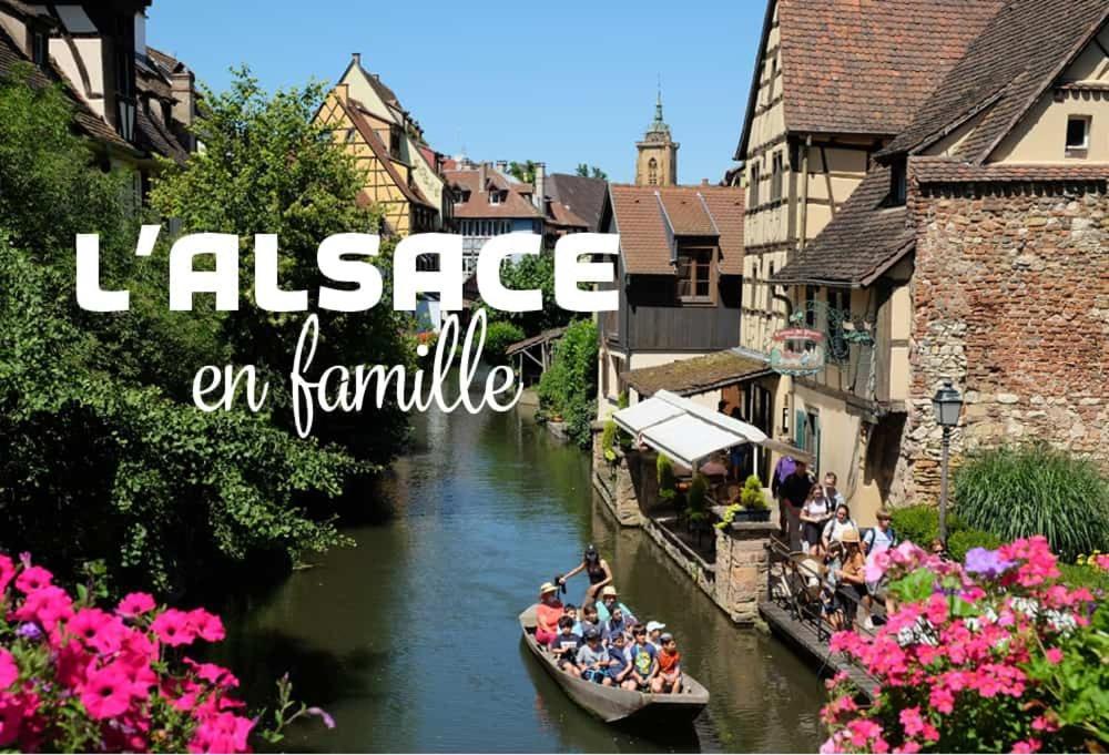 Ville Centre - Gite Le Villois - Au Coeur De L'Alsace Экстерьер фото