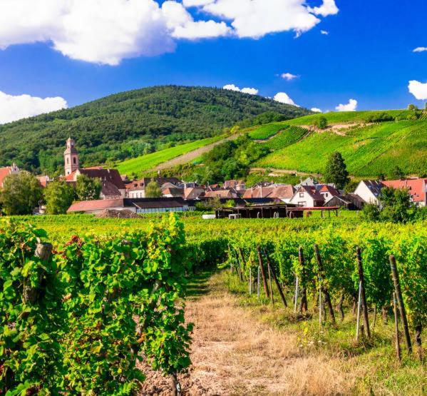 Ville Centre - Gite Le Villois - Au Coeur De L'Alsace Экстерьер фото