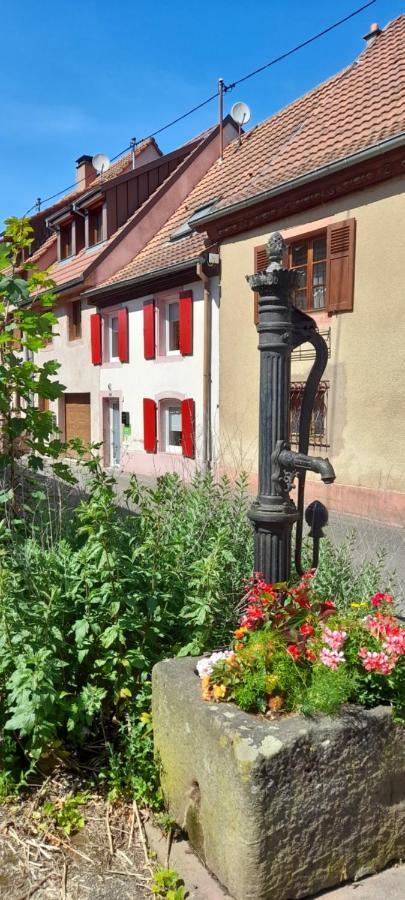 Ville Centre - Gite Le Villois - Au Coeur De L'Alsace Экстерьер фото